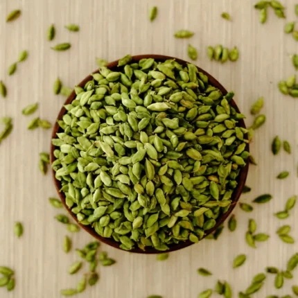 elaichi plant online India buy cardamom plant online elaichi plant price India cardamom plant for home garden elaichi farming in India green cardamom plant buy online best cardamom plants India elaichi plant nursery India cardamom plant care India elaichi plant home delivery organic cardamom plant India buy spice plants online India cardamom plant for terrace garden elaichi plant cultivation small elaichi plant buy cardamom plant India price indoor spice plants India elaichi plant growing tips cardamom plant seller India buy elaichi sapling online